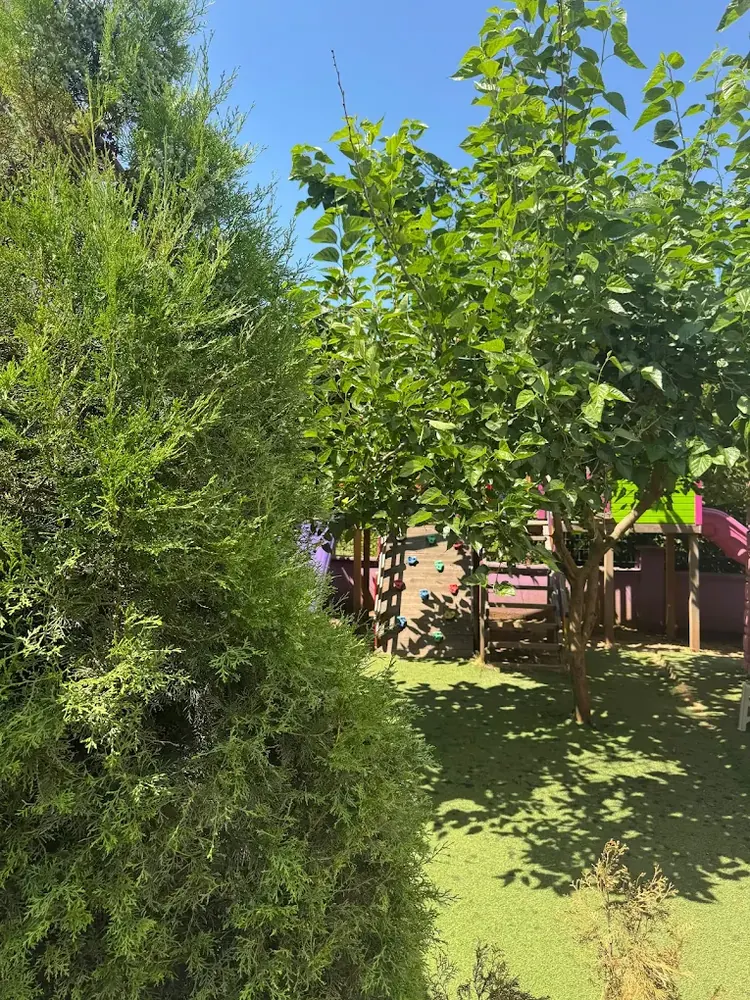 Anaokulu Oyun Alanı